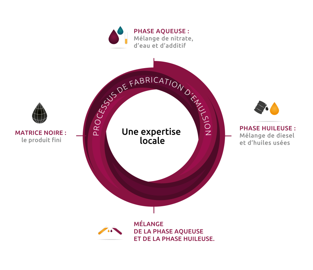 schema-emultion-expertise-locale